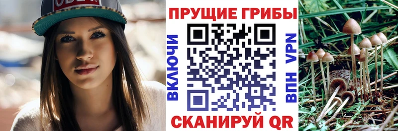 сколько стоит Киреевск Галлюциногенные грибы ЛСД